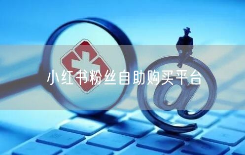 小红书粉丝自助购买平台