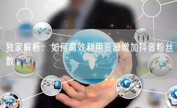 独家解析：如何高效利用资源增加抖音粉丝数