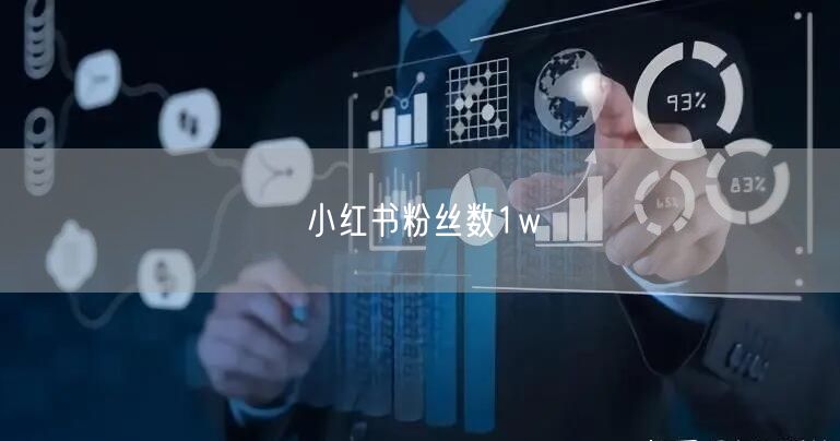 小红书粉丝数1w