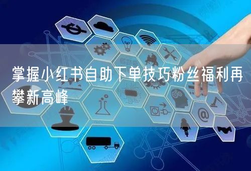 掌握小红书自助下单技巧粉丝福利再攀新高峰