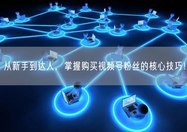 从新手到达人，掌握购买视频号粉丝的核心技