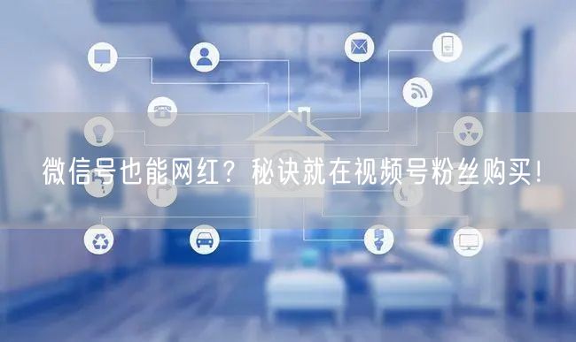 微信号也能网红？秘诀就在视频号粉丝购买！