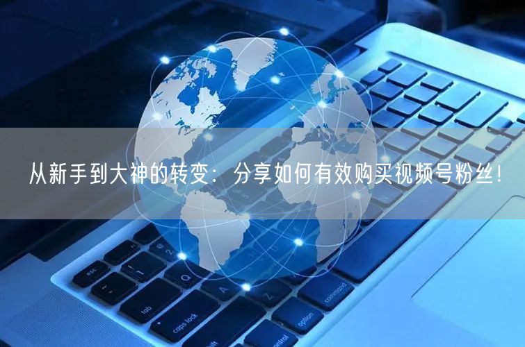 从新手到大神的转变：分享如何有效购买视频