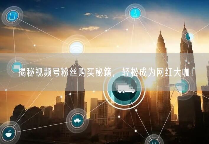 揭秘视频号粉丝购买秘籍，轻松成为网红大咖