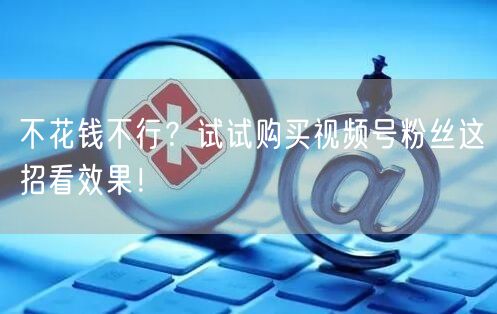 不花钱不行？试试购买视频号粉丝这招看效果