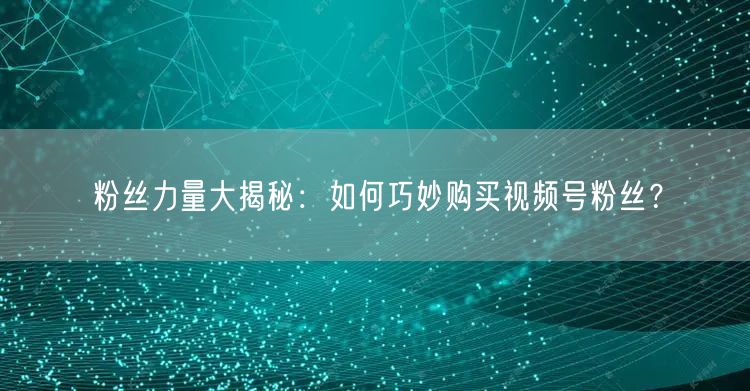 粉丝力量大揭秘：如何巧妙购买视频号粉丝？