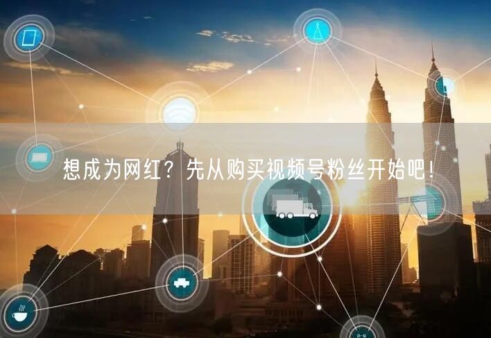 想成为网红？先从购买视频号粉丝开始吧！
