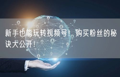 新手也能玩转视频号！购买粉丝的秘诀大公开