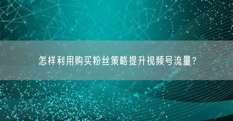 怎样利用购买粉丝策略提升视频号流量？