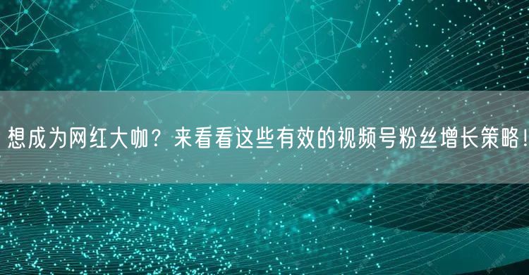 想成为网红大咖？来看看这些有效的视频号粉