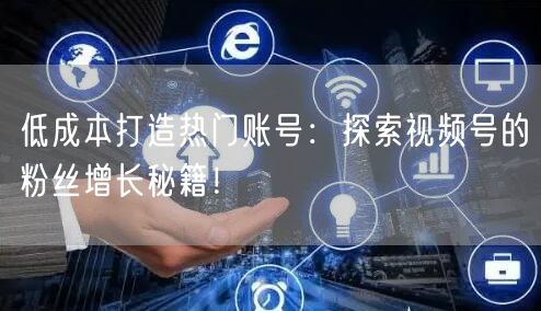 低成本打造热门账号：探索视频号的粉丝增长