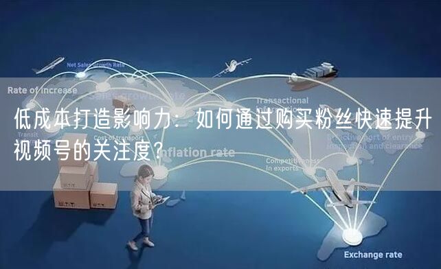低成本打造影响力：如何通过购买粉丝快速提