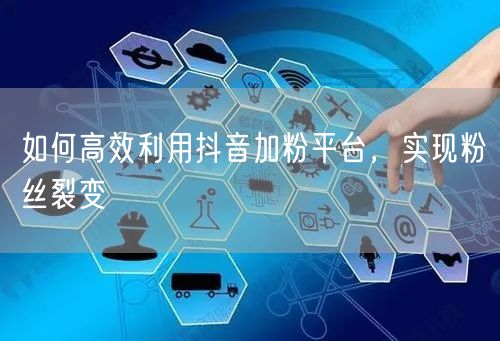 如何高效利用抖音加粉平台，实现粉丝裂变