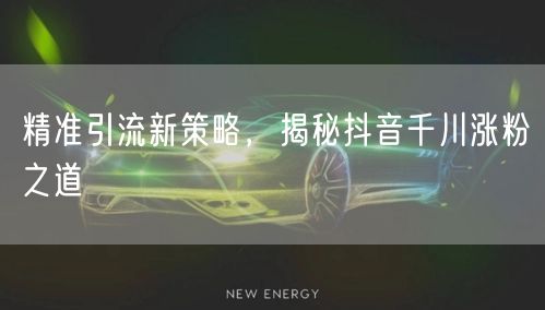 精准引流新策略，揭秘抖音千川涨粉之道