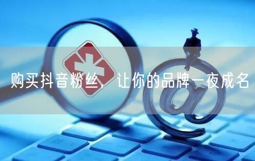 购买抖音粉丝，让你的品牌一夜成名