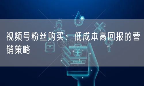 视频号粉丝购买：低成本高回报的营销策略