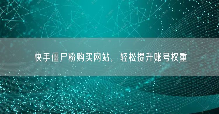 快手僵尸粉购买网站，轻松提升账号权重