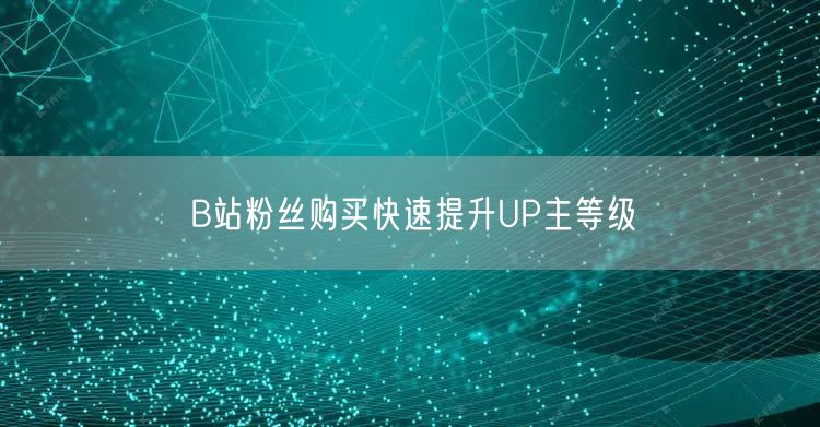 B站粉丝购买快速提升UP主等级