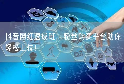抖音网红速成班，粉丝购买平台助你轻松上位