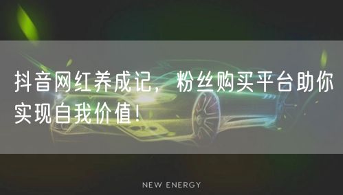 抖音网红养成记，粉丝购买平台助你实现自我