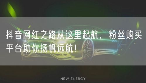 抖音网红之路从这里起航，粉丝购买平台助你