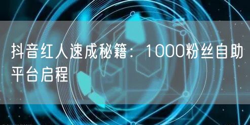 抖音红人速成秘籍：1000粉丝自助平台启