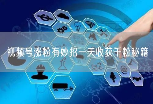 视频号涨粉有妙招一天收获千粉秘籍