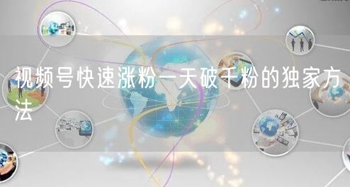 视频号快速涨粉一天破千粉的独家方法