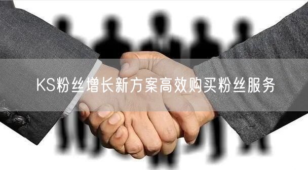 KS粉丝增长新方案高效购买粉丝服务