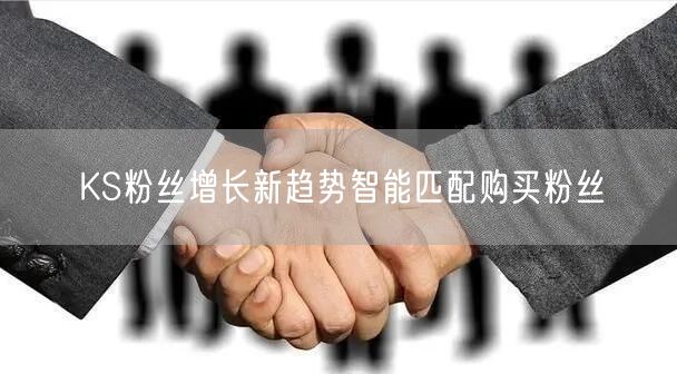 KS粉丝增长新趋势智能匹配购买粉丝