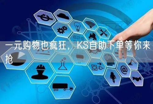 一元购物也疯狂，KS自助下单等你来抢