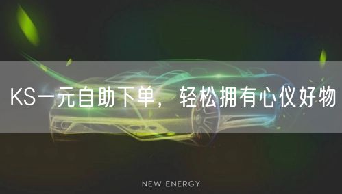 KS一元自助下单，轻松拥有心仪好物