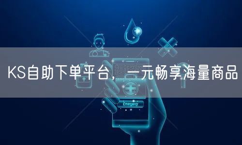 KS自助下单平台，一元畅享海量商品