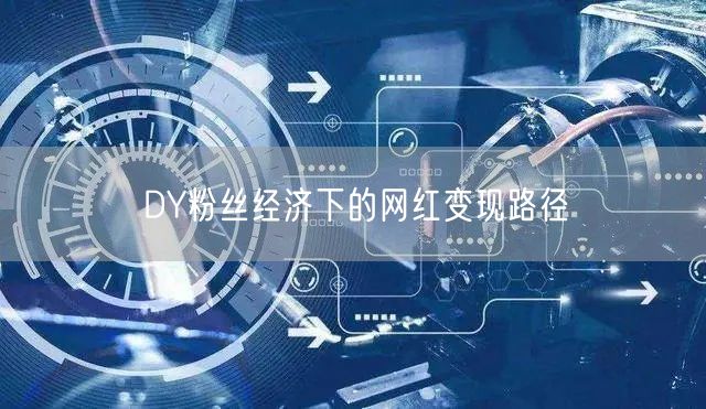 DY粉丝经济下的网红变现路径