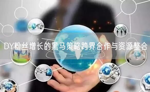 DY粉丝增长的黑马策略跨界合作与资源整合