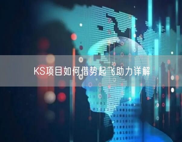 KS项目如何借势起飞助力详解
