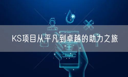 KS项目从平凡到卓越的助力之旅