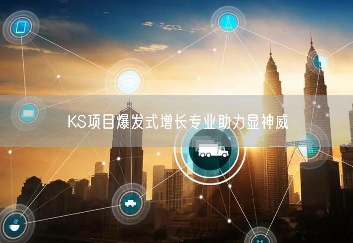 KS项目爆发式增长专业助力显神威