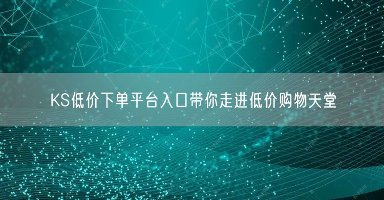 KS低价下单平台入口带你走进低价购物天堂