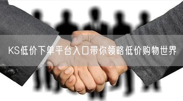 KS低价下单平台入口带你领略低价购物世界