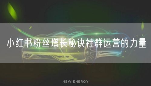 小红书粉丝增长秘诀社群运营的力量