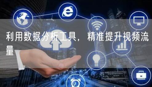 利用数据分析工具，精准提升视频流量