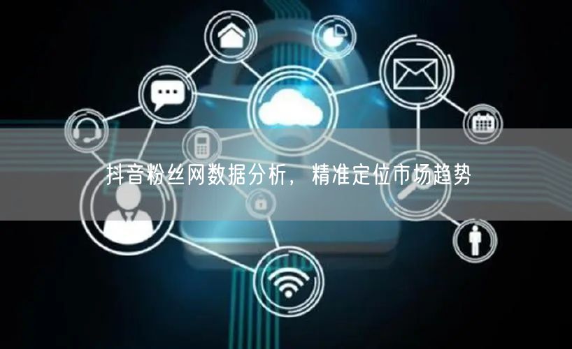 抖音粉丝网数据分析，精准定位市场趋势