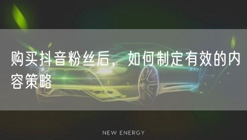 购买抖音粉丝后，如何制定有效的内容策略