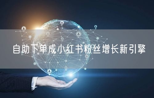 自助下单成小红书粉丝增长新引擎