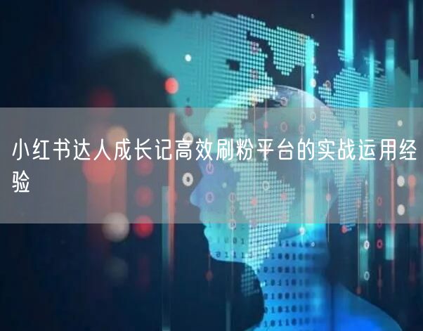 小红书达人成长记高效刷粉平台的实战运用经