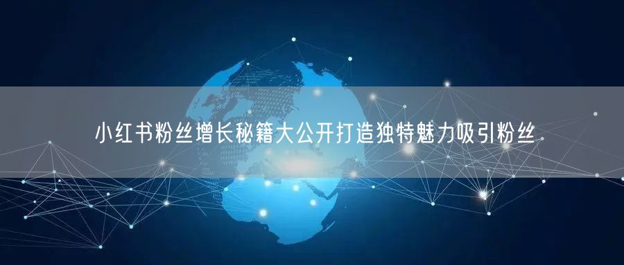 小红书粉丝增长秘籍大公开打造独特魅力吸引