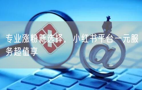 专业涨粉新选择，小红书平台一元服务超值享