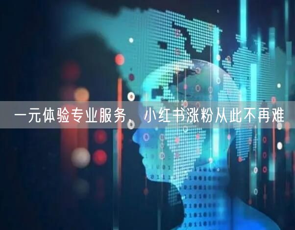 一元体验专业服务，小红书涨粉从此不再难