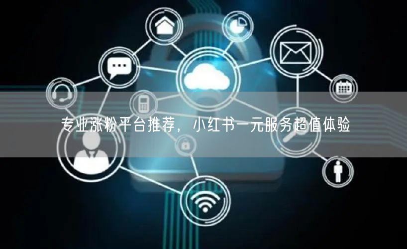 专业涨粉平台推荐，小红书一元服务超值体验